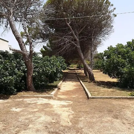 Tatil Evi Aurora